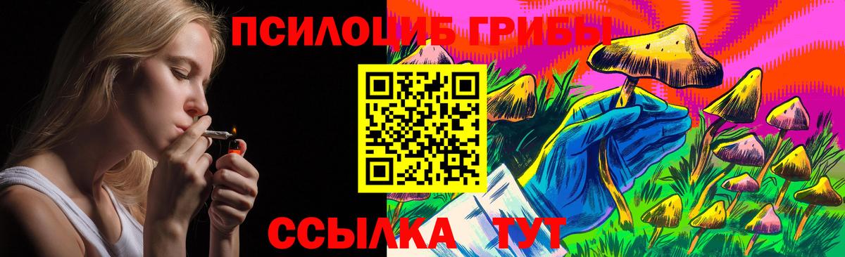 Псилоцибиновые грибы Magic Shrooms Таганрог